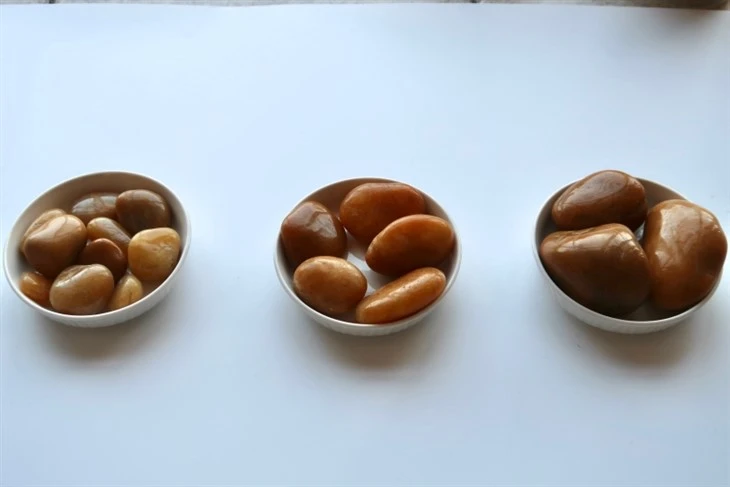 Pebble Stepping Stones best