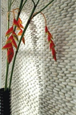 product-250-376